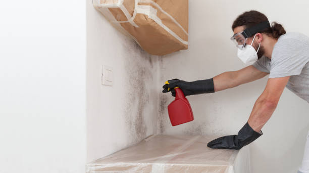 Professional Attic Mold Removal technician working in Lavallette, NJ